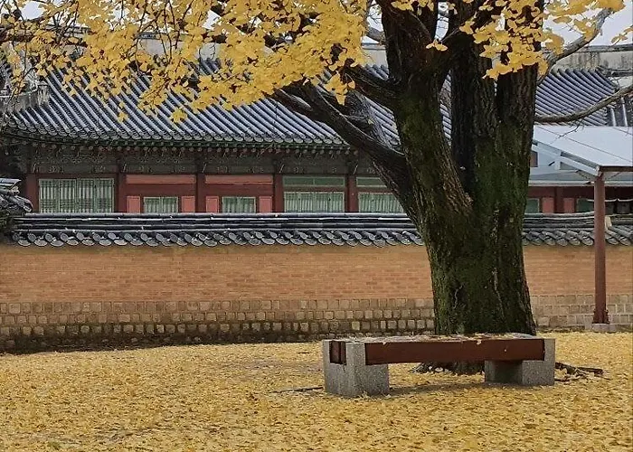 Apartment Stay Moon 종로 혜화 3Qb 6인 독채 Seoul