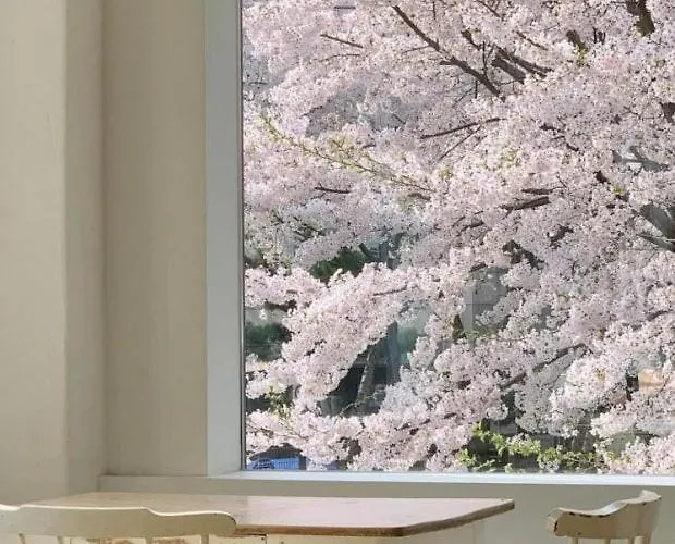 Apartment Stay Moon 종로 혜화 3Qb 6인 독채